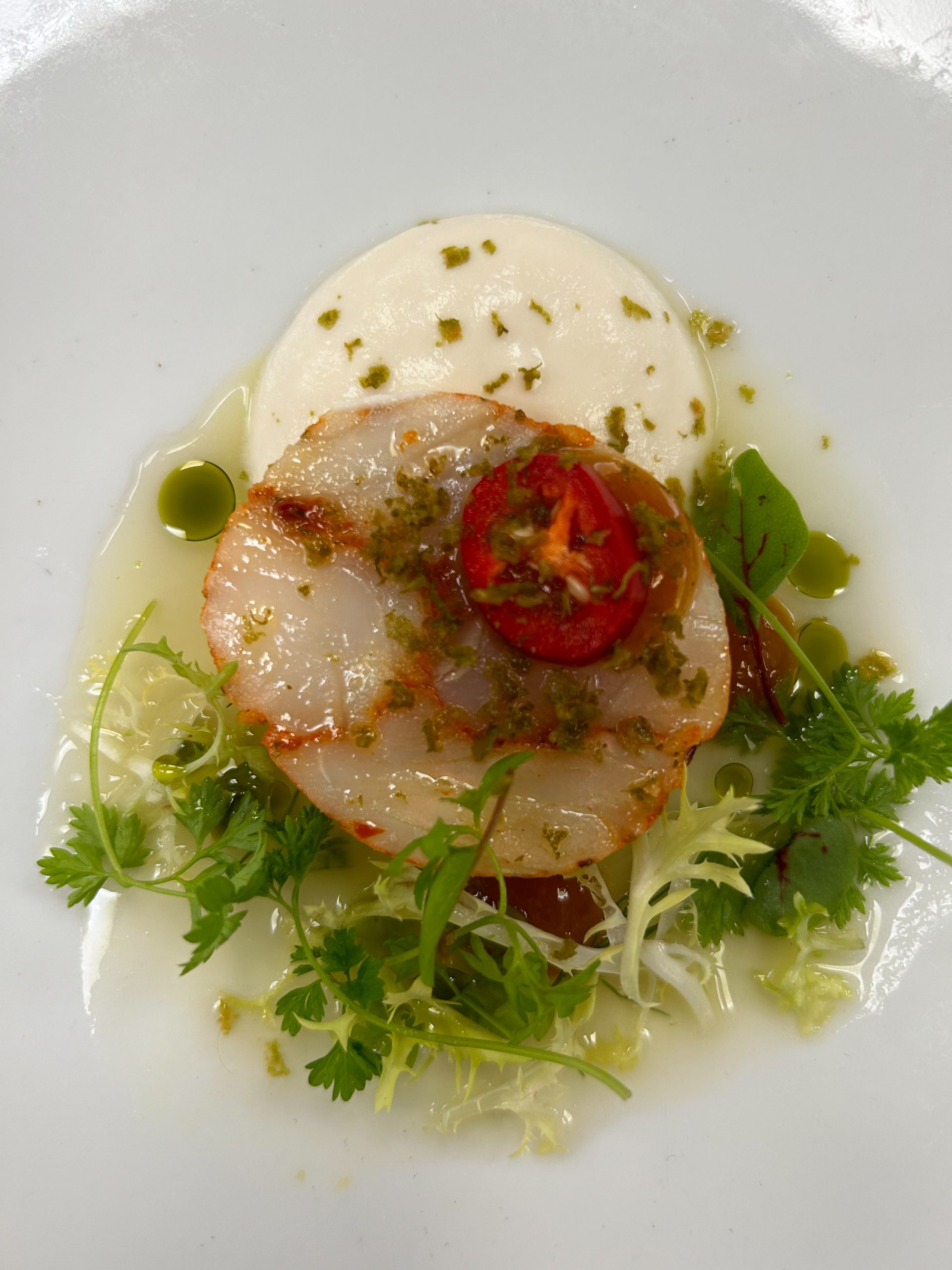 Title Banner without Sidebar Title Banner without Sidebar