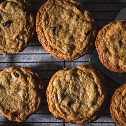 Title Banner without Sidebar Title Banner without Sidebar